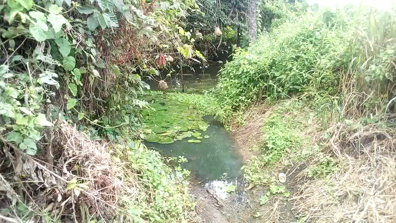 Incredible! Govt. Agency diverts boreholes to ex-head of state’s residence, lawmaker’s farm, while community drinks from stream