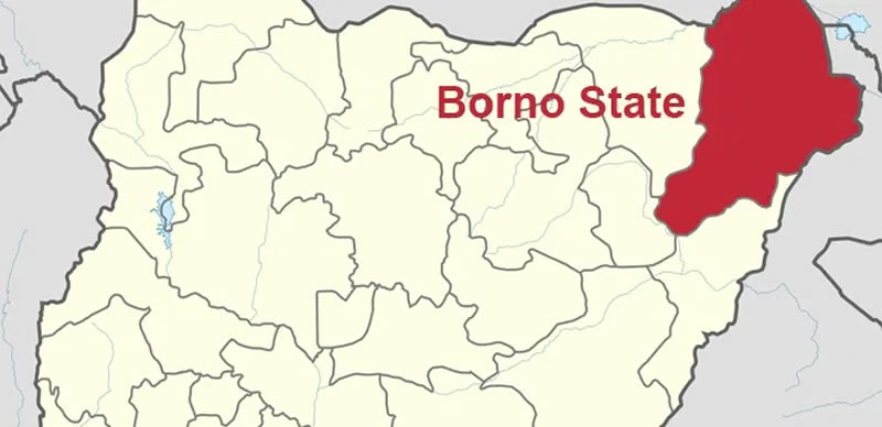 Kidnapped Borno Catholic priest regains freedom from Boko Haram