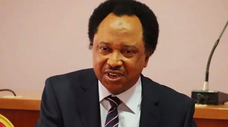 Beating Atiku in primaries will be harder, says Shehu Sani